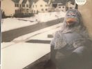 The Wonder Years - Suburbia I've Given You All 2 x LP Colored Vinyl PUNK RECORD