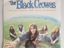 The Black Crowes Jealous Again / She Talks To Angels 12