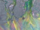 ALT J - An Awesome Wave - Vinyl (gatefold white vinyl LP)