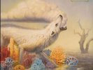 RIVAL SONS - HOLLOW BONES (LTD ED WHITE VINYL LP) USED, NM+ RARE