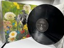 CURRENT 93 Swastikas For Noddy LP Vinyl 1988 1st PRESSING Neofolk Death In June