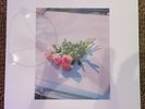 Foals - Life Is Yours - Limited Pink Color Spotify Vinyl LP - New & Sealed