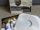 Bayside - SELF TITLED - Clear Colored Vinyl LP Ltd /200 - EX Wax  Rare