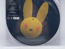 Bad Bunny J Balvin Oasis Picture Disc Vinyl Record LP
