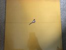 Aaron Lightman Self-Titled LP Folk Rock Psych Poppy PVS40010 SEALED