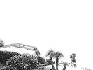 Timber Timbre - Hot Dreams - LP Vinyl - NEW