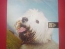 Moloko Sing It Back Vinyl 12