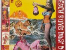 THEE HEADCOATS Beach Bums Must Die 1990 US Crypt Records LP BILLY CHILDISH