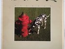 Rush - Signals - 1982 - Vinyl Record LP