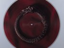 ALAN PARSONS PROJECT Vulture Culture ARISTA LP VG+ picture disc v