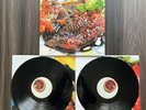 Animal Collective Strawberry Jam Vinyl LP 2007 Domino Records Indie