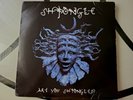 Shpongle ARE YOU SHPONGLED? 180g REMASTERED  Black Vinyl Record 3 LP