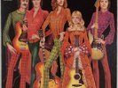 FOTHERINGAY: Self Titled A&M Folk Rock Sandy Denny Fairport Convention Vinyl LP