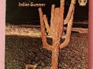 Indian Summer PSYCH ‘71 NEON RCA Records NM GF LP