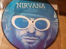 NIRVANA - All the Fun of the Fair Live PICTURE DISC LP Kurt Cobain Meat Puppets