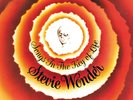 STEVIE WONDER - Songs In The Key Of Life (2009) 2 LP vinyl + 7
