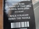 KATE BUSH RUNNING UP THAT HILL 10” VINYL 2013 UK RECORD STORE DAY LTD RARE MINT