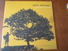 Jack Johnson - In Between Dreams (2005) Vinyl LP album - first US release 