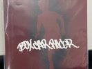 Box Car Racer 15th Anniversary Vinyl RARE Tom Delonge Blink 182