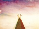 Califone Stitches (Vinyl) 12