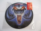 MOTORHEAD - ROCK'N'ROLL - LP PICTURE DISC VINYL BRAND NEW 2004