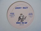 JIMMY RILEY Bridge The Gap JIMMY RILEY Killer  Rockers Roots SteppersReggae 12