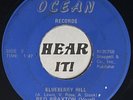 Rockabilly Rockin Country Jiver 45 RED BRAXTON Blueberry Hill OCEAN rare unknown