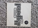 prodigy experience vinyl