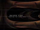Raised Fist Ignoring the Guidelines (Vinyl) 12