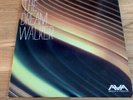 Angels & Airwaves vinyl - The Dream Walker 2014