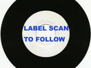 ROBERT PARKER / WILLIE COBB I Caught You In A Lie   / You Don't Love Me  DEE JAY