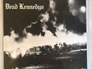 Dead Kennedys - Fresh Fruit For Rotting Veg... 1980 Vinyl Lp Excellent
