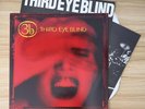 Third Eye Blind / Third Eye Blind 1997 US Original Edition 2LP Vinyl Elektra