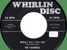 CHANNELS What Do You Do / I Really Love You 45rpm Whirlin Disc 1957 doo-wop