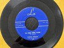 Curtis Hobock The Whole Towns Talking / Do You Think 1959 Lu Records 45 Rockabil