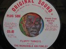 HEAR Kim Fowley 45 Fluffy Turkeys / Young America Saturday Night garage psych EX