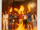 Lynyrd Skynyrd  Street Survivors LP Vinyl Record