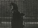 Neil Young - After The Gold Rush (LP, Album, RE)
