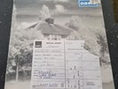 Oasis - SEALED - 12