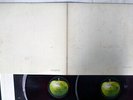 BEATLES WHITE ALBUM APPLE AP-8571 JAPAN COMPANY SLEEVE RED POSTER 2LP