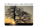 `Mountain Goats, The` The Sunset Tree (US IMPORT) VINYL LP NEW