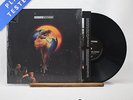Robert Plant - Fate Of Nations - Limited Edition LP Vinyl Record - NM/EX