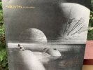 LEON LARREGUI ZOE SOLSTIS LP SOLD OUT SIGNED CAFE TACUBA CAIFANES FOBIA
