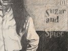 ON THE OTHER SIDE OF SUGAR AND SPICE RARE FLEETWOOD 2 X LP FOLK PSYCH EX COND