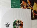 House of Pain Fine Malt Lyrics 30th Autographed By DannyBoy OConnor  Stay Gold