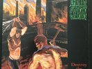 Earth Crisis Destroy the Machines vinyl LP 1995 Victory hardcore straight edge
