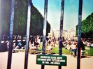 Tame Impala ‎– Lonerism : Fiction /Caroline ‎– 3795300 SEALED VINYL 2LP GATEFOLD