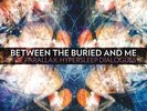 Between the Buried and Me The Parallax: Hypersleep Dialogs (Vinyl) (US IMPORT)