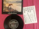 Sad Lovers & Giants - Colourless - Rare New Wave Vinyl Single EX/EX