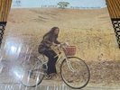 EVIE SANDS:  A&M Records 12